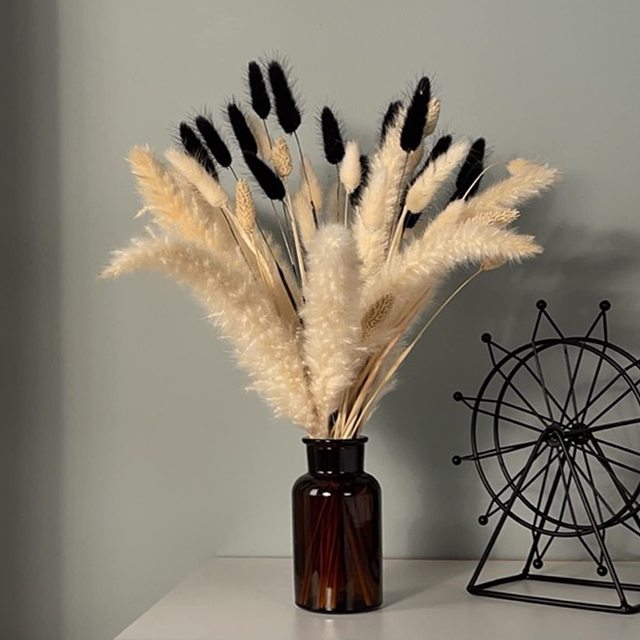 Pampas Grass Natural Dried Flower Black  Artificial Flower Decoration -  White Grass - Aliexpress